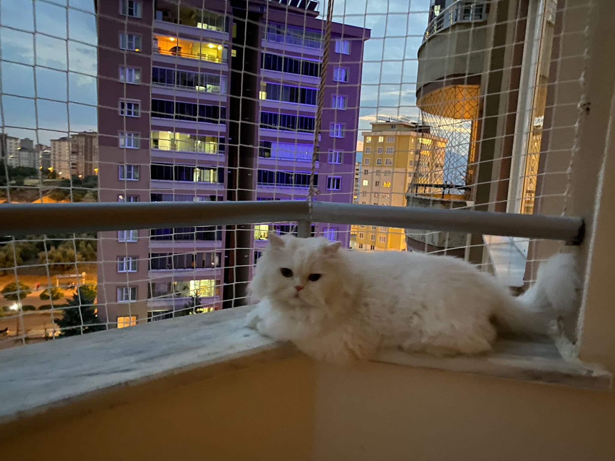 En İyi Balkon Filesi Hangisi?